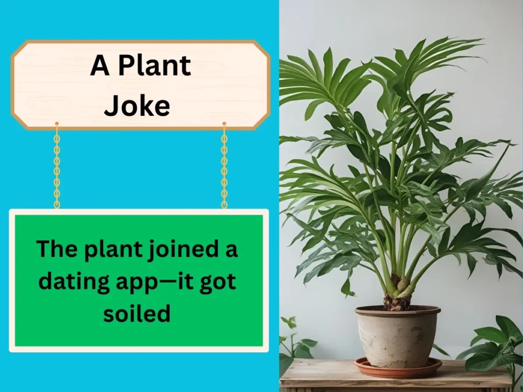  A Plant Joke