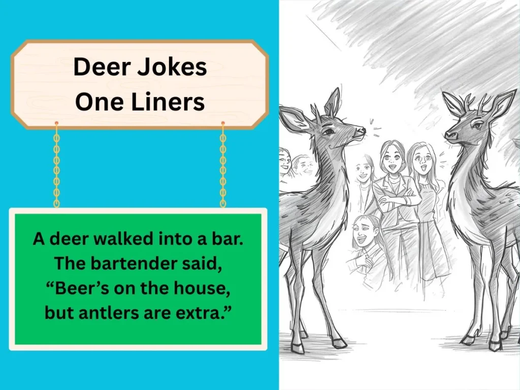 Deer Jokes One Liners