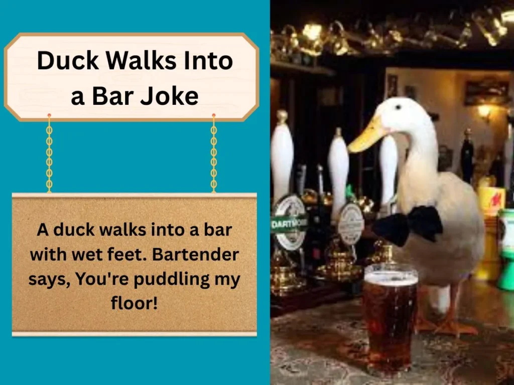 Duck Walks Into a Bar Joke