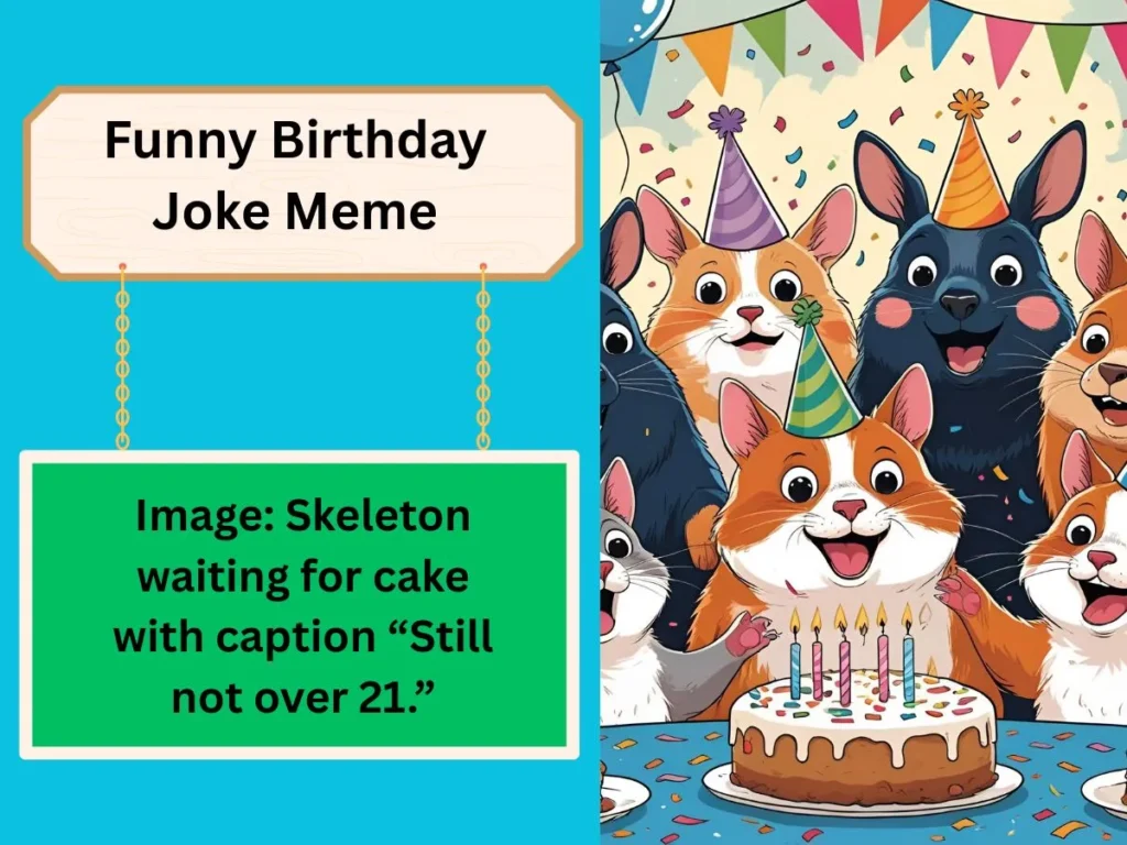 Funny Birthday Joke Meme