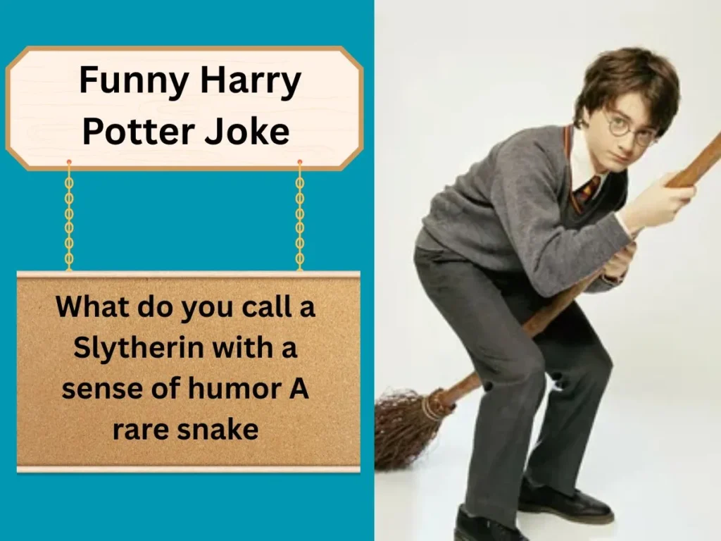 Funny Harry Potter Joke