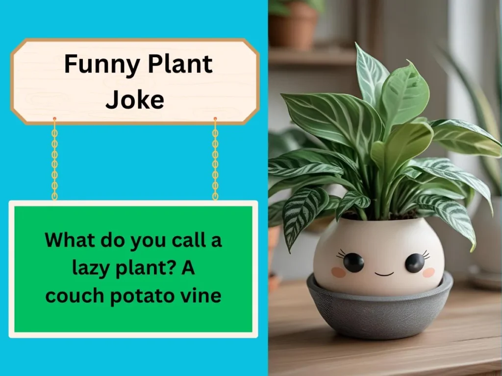  Funny Plant Joke