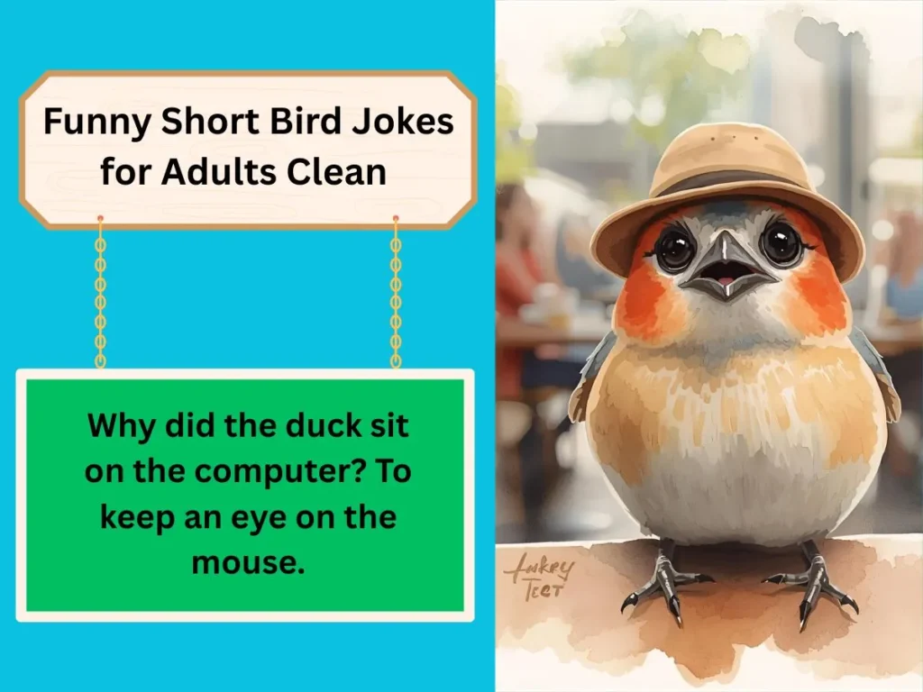 Funny Short Bird Jokes for Adults Clean