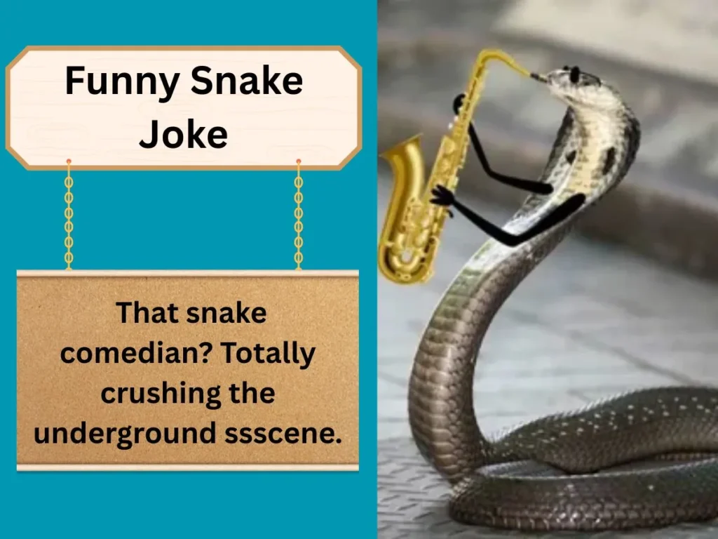 Funny Snake Joke