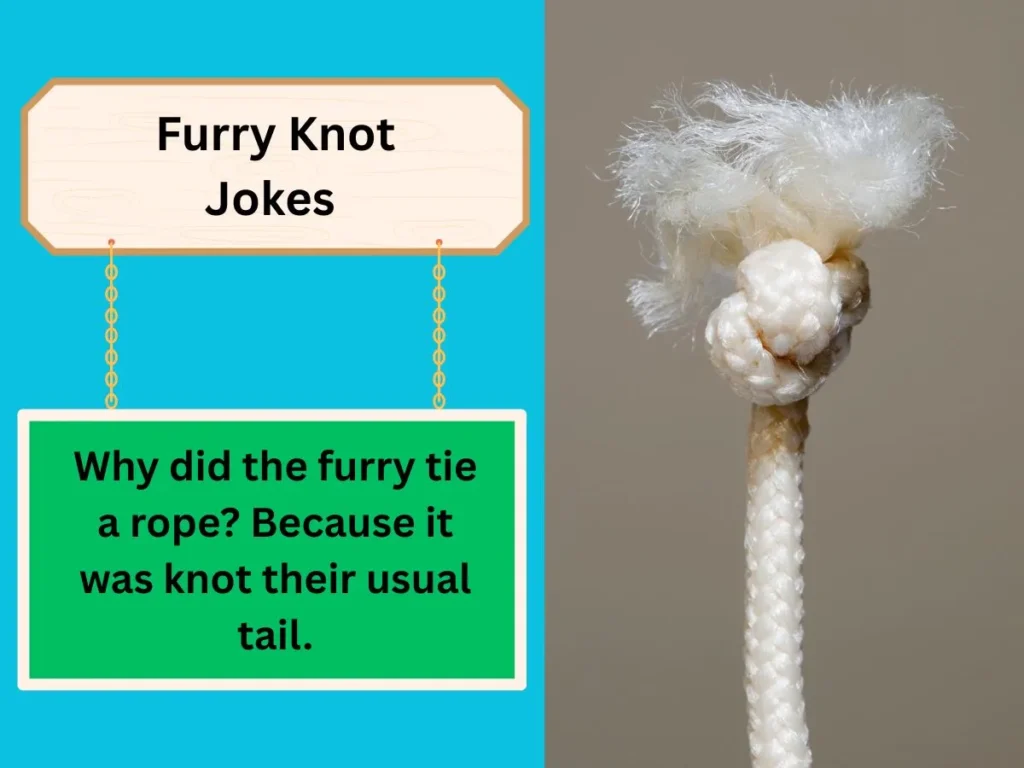 Furry Knot Jokes 