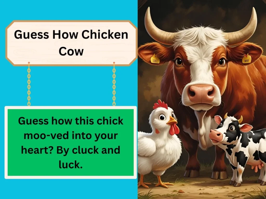 Guess How Chicken Cow
