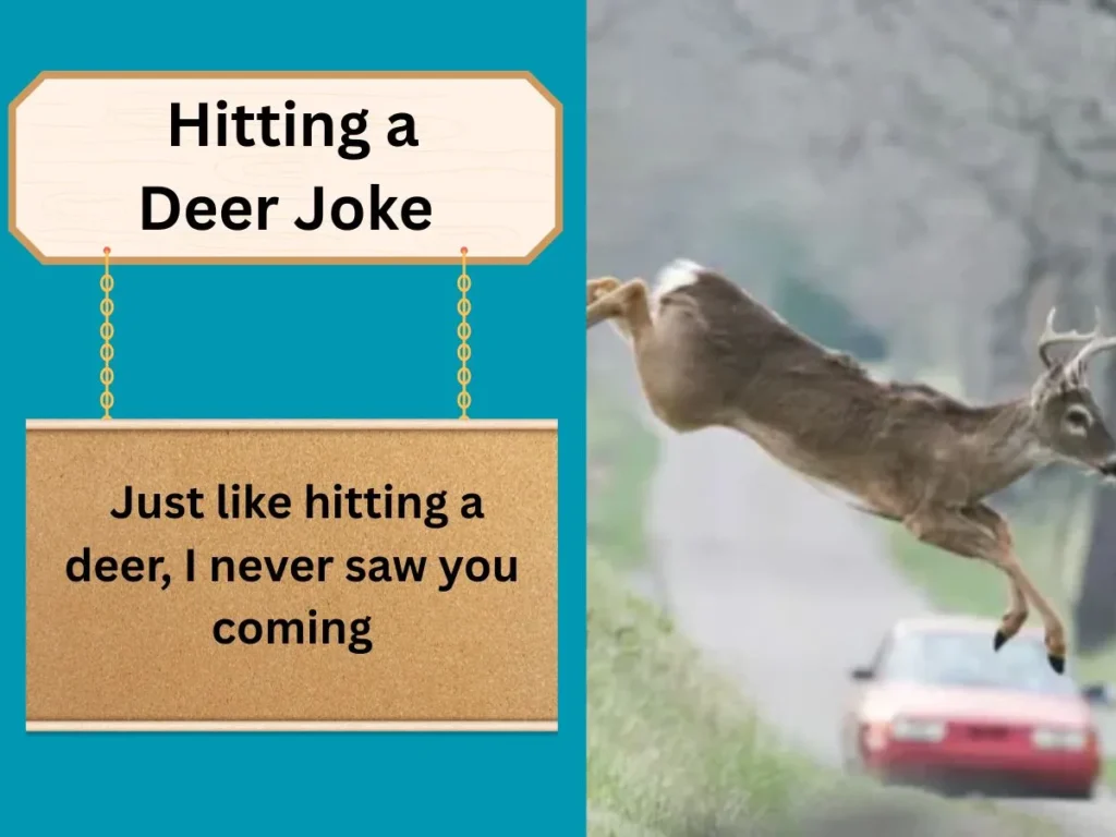  Hitting a Deer Joke
