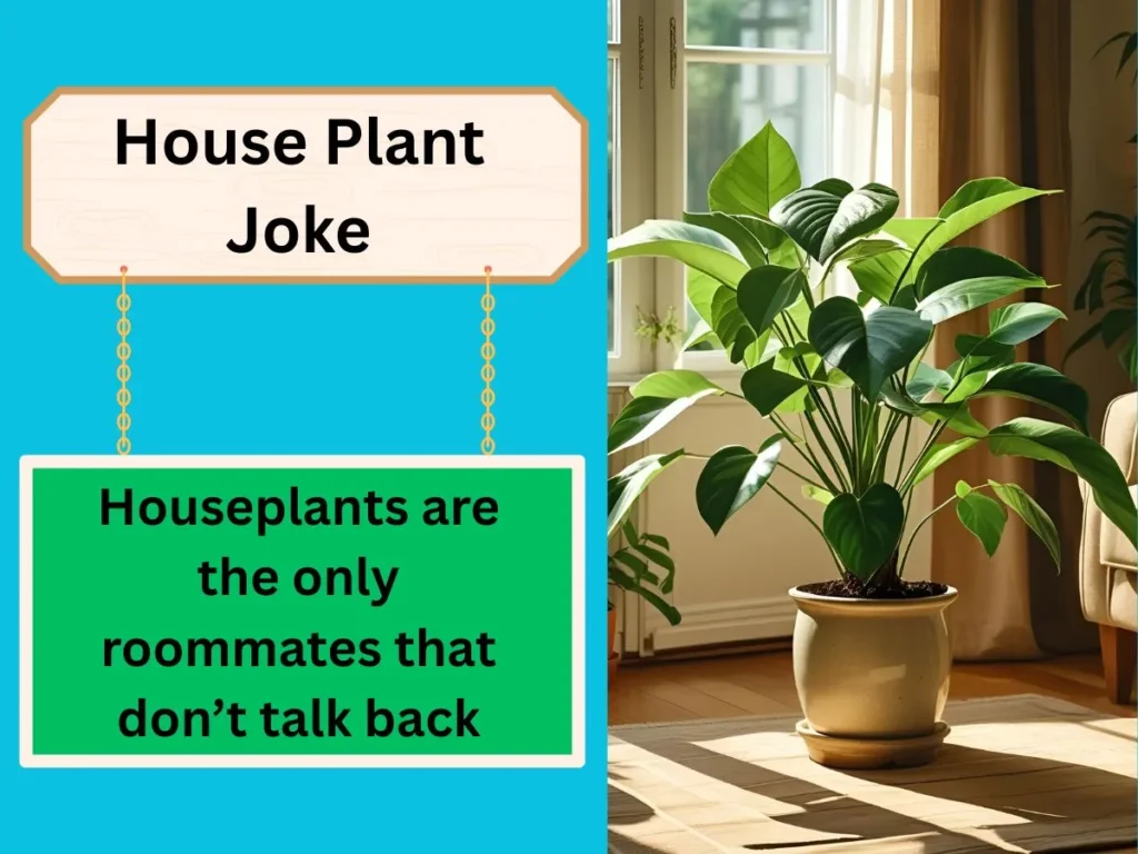 House Plant Joke