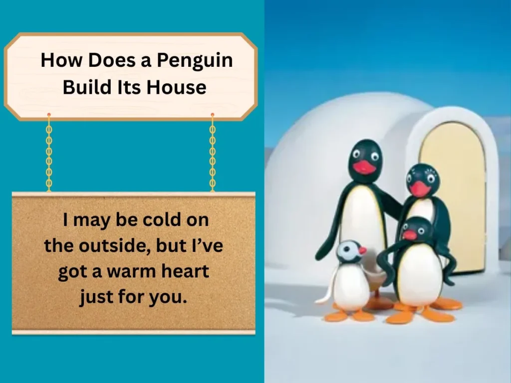  How Does a Penguin Build Its House