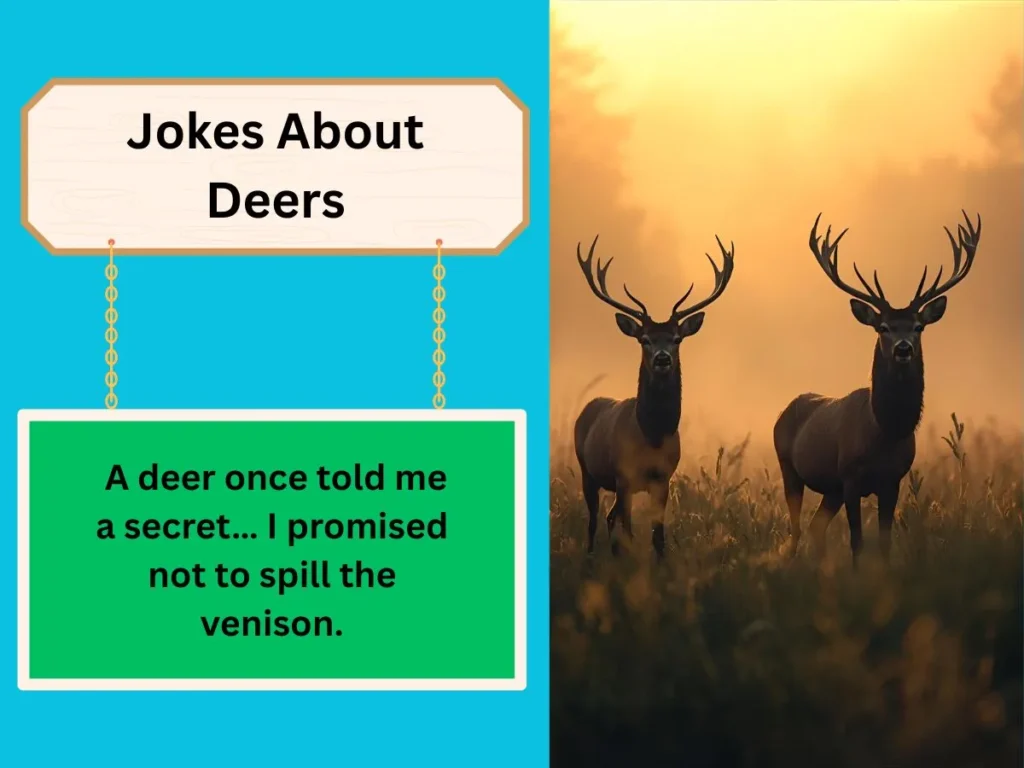 Jokes About Deers