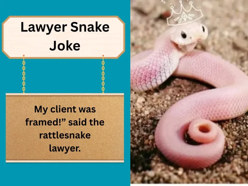 Lawyer Snake Joke