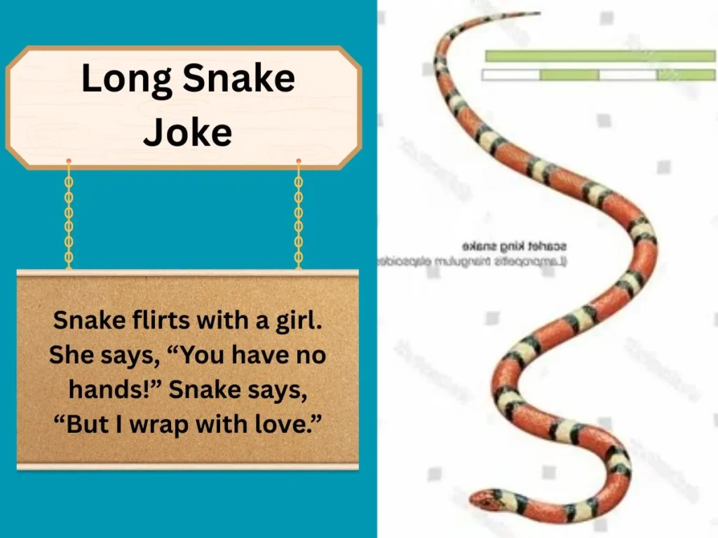 Long Snake Joke