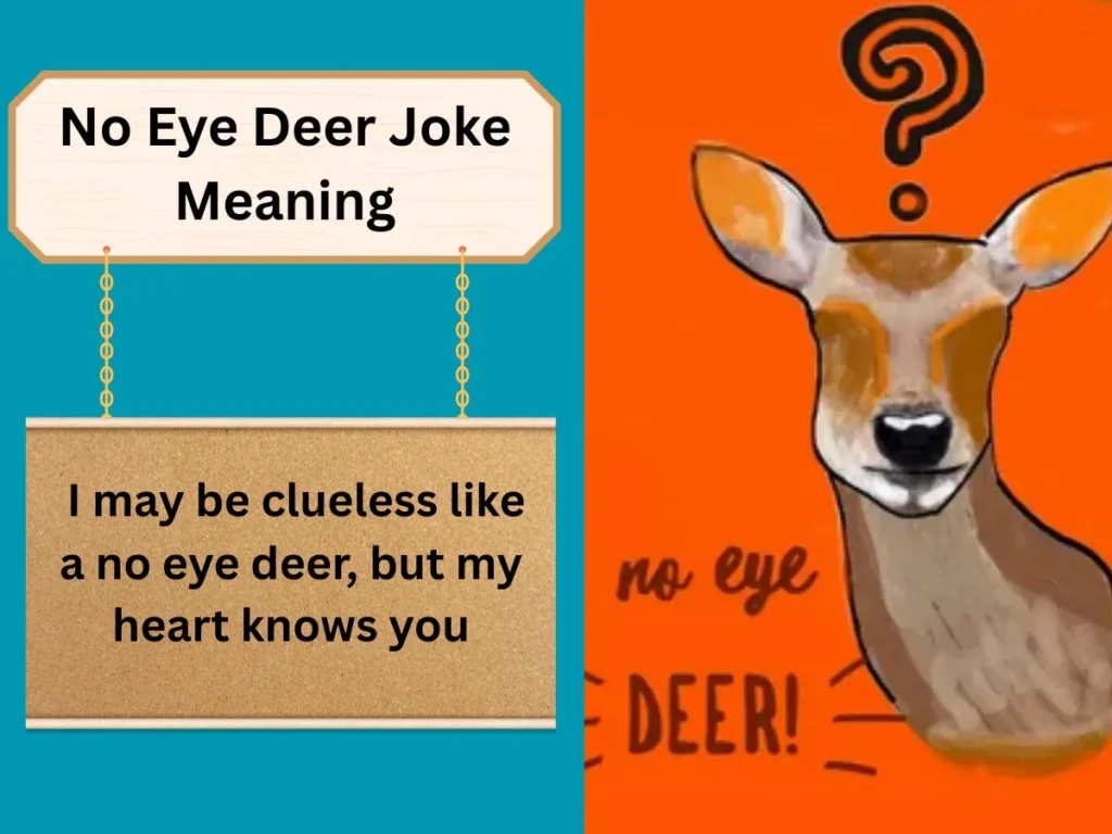 No Eye Deer Joke Meaning