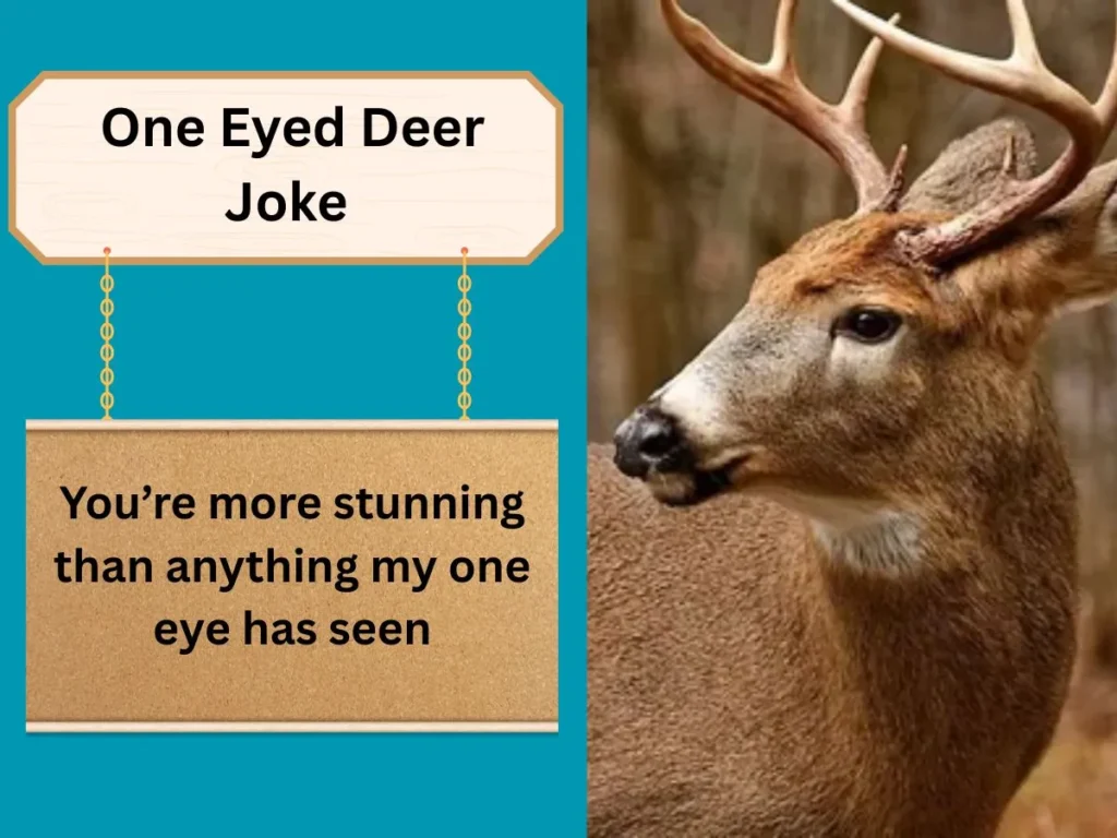  One Eyed Deer Joke