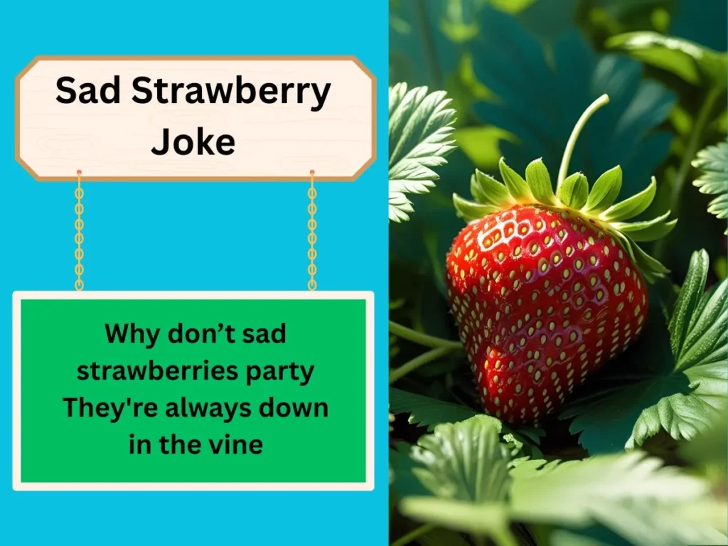 Sad Strawberry Joke