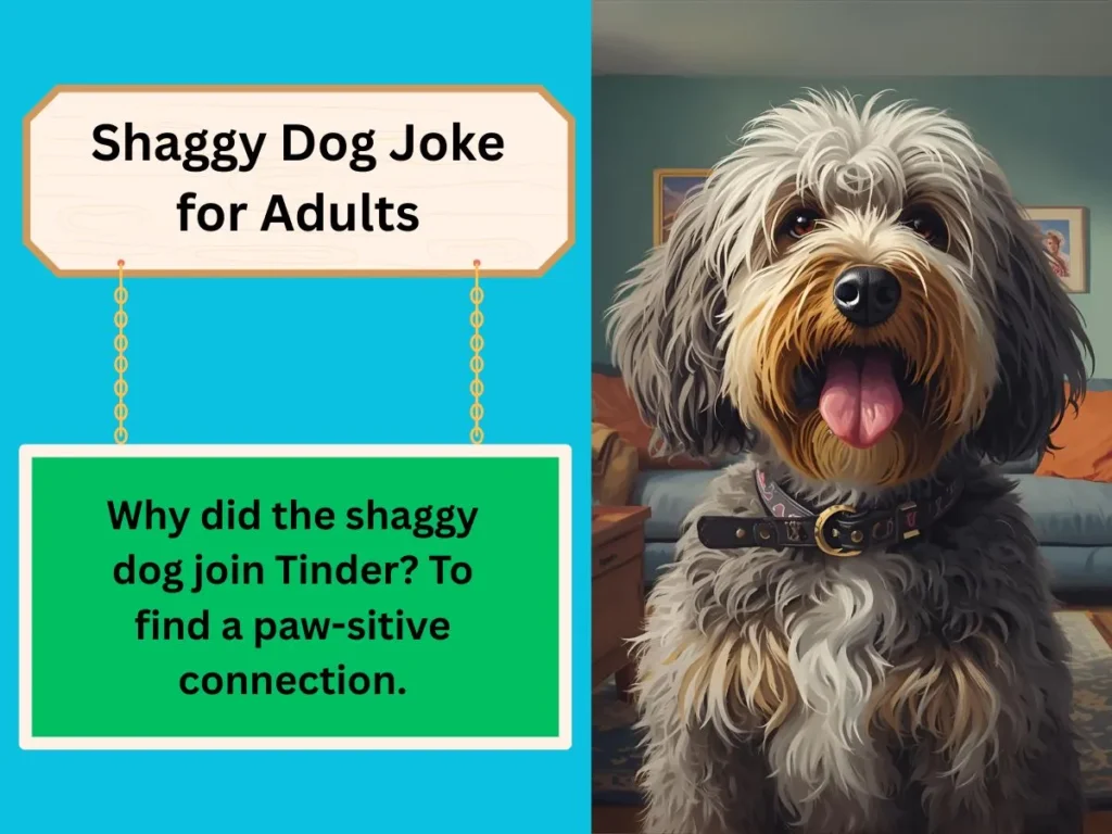 Shaggy Dog Joke for Adults