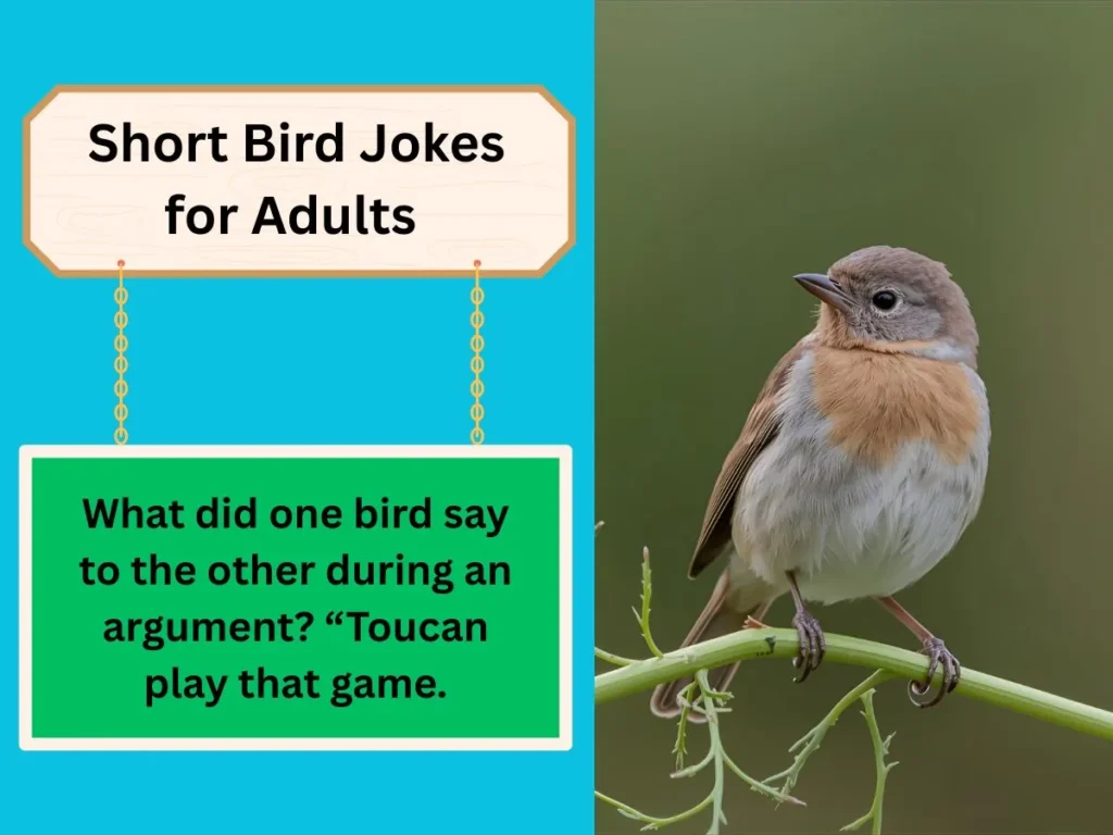 Short Bird Jokes for Adults 
