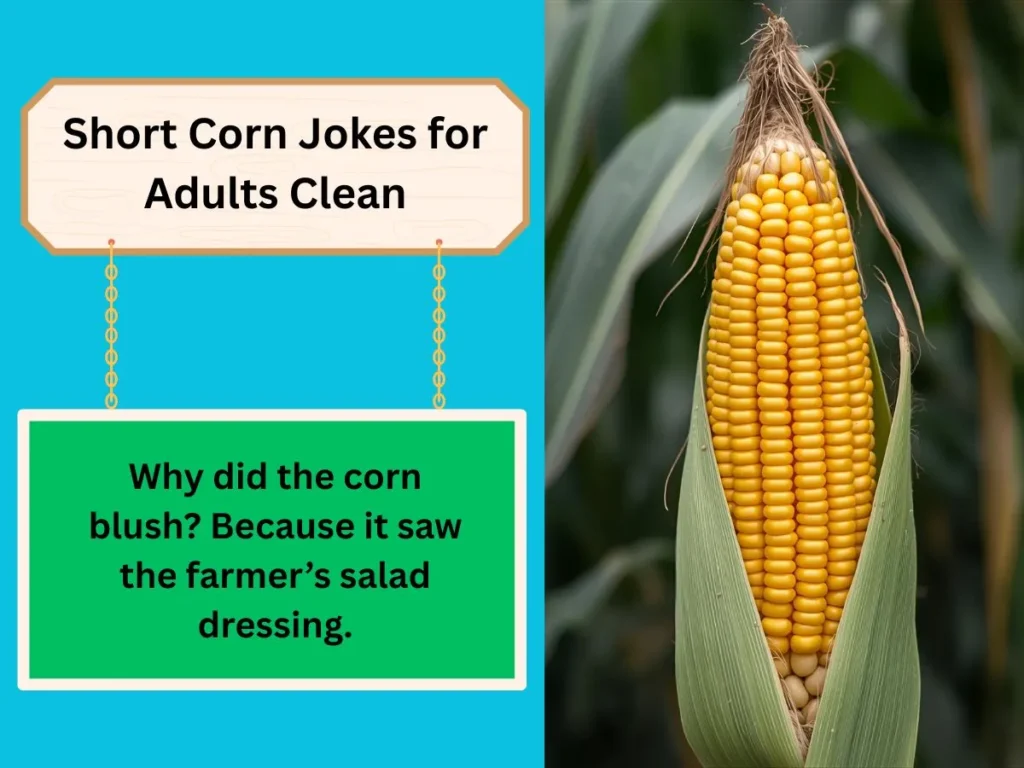 Short Corn Jokes for Adults Clean