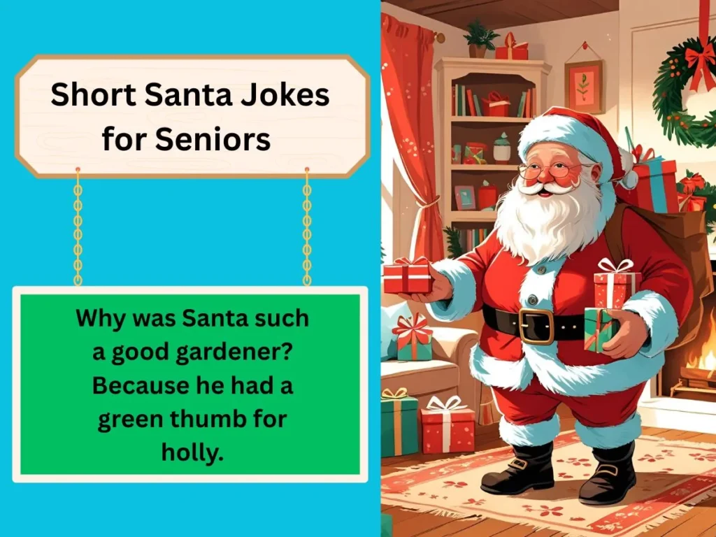 Short Santa Jokes for Seniors 