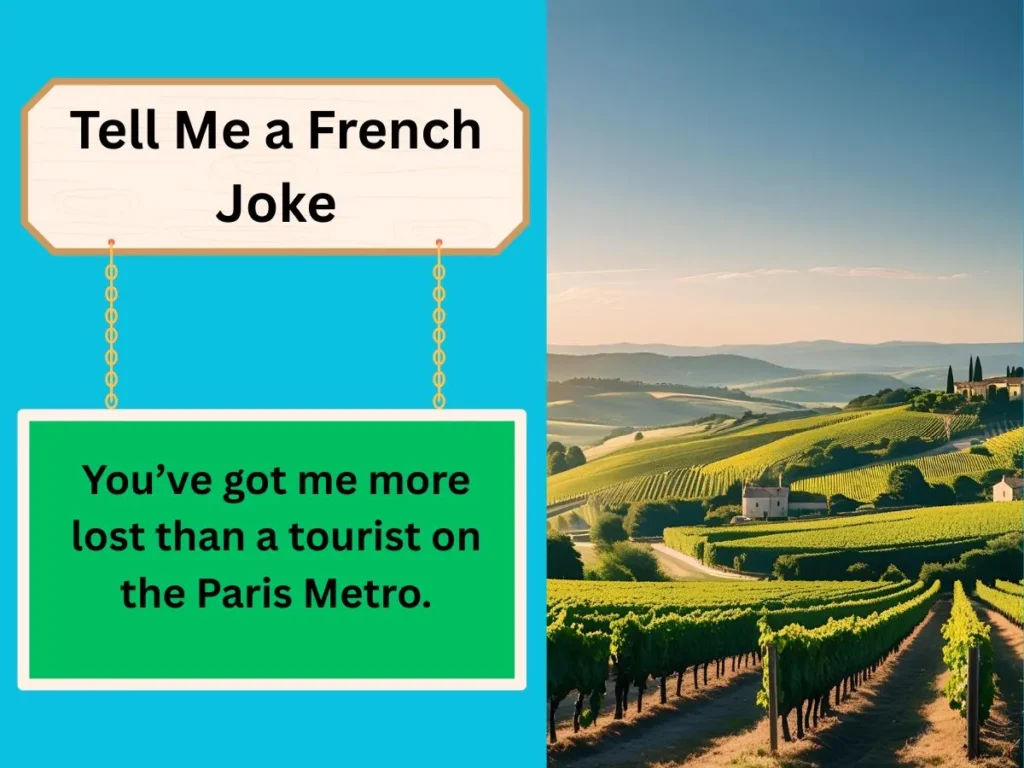 Tell Me a French Joke
