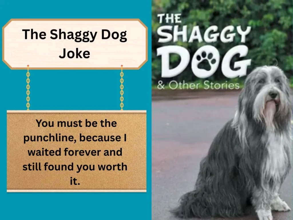 The Shaggy Dog Joke