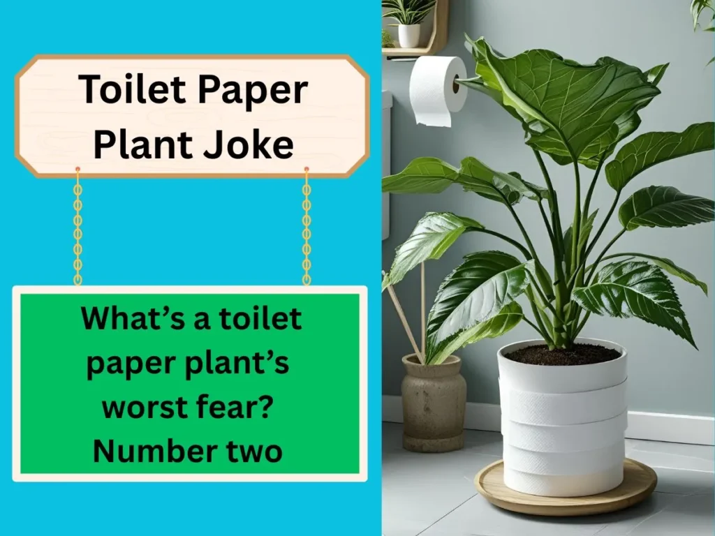 Toilet Paper Plant Joke