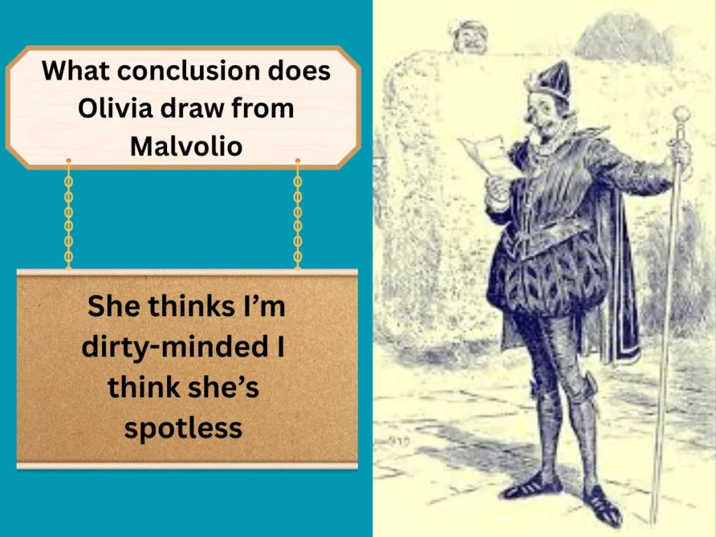 What conclusion does Olivia draw from Malvolio?