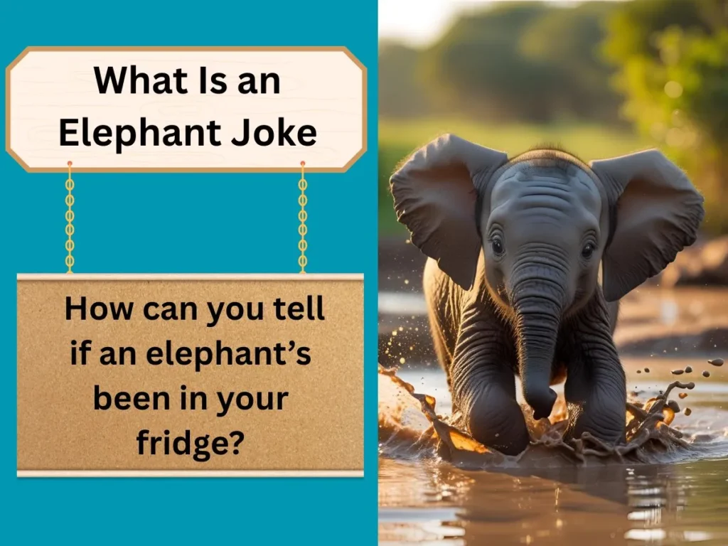 What Is an Elephant Joke