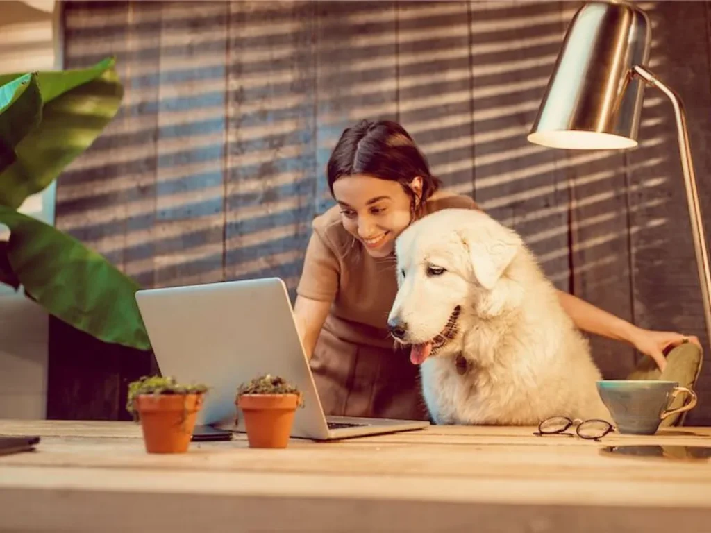 What's Up Dog Joke From The Office