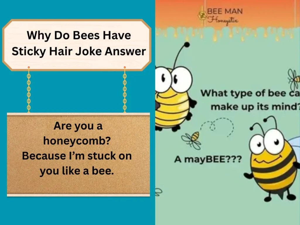 Why Do Bees Have Sticky Hair Joke Answer
