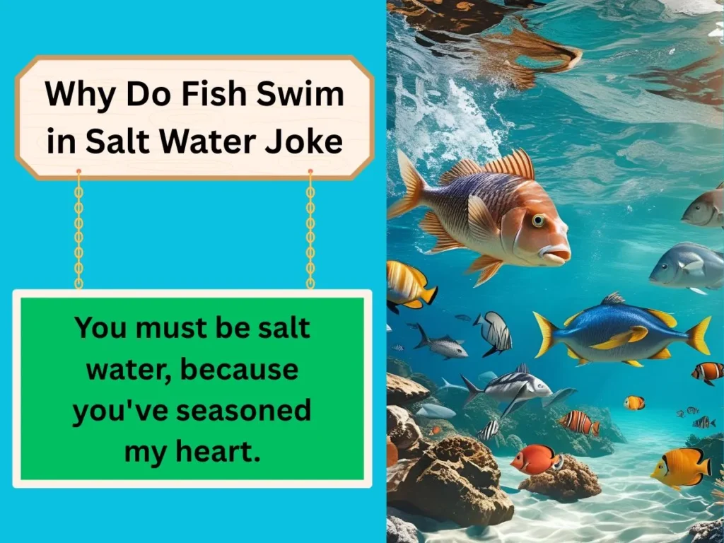 Why Do Fish Swim in Salt Water Joke