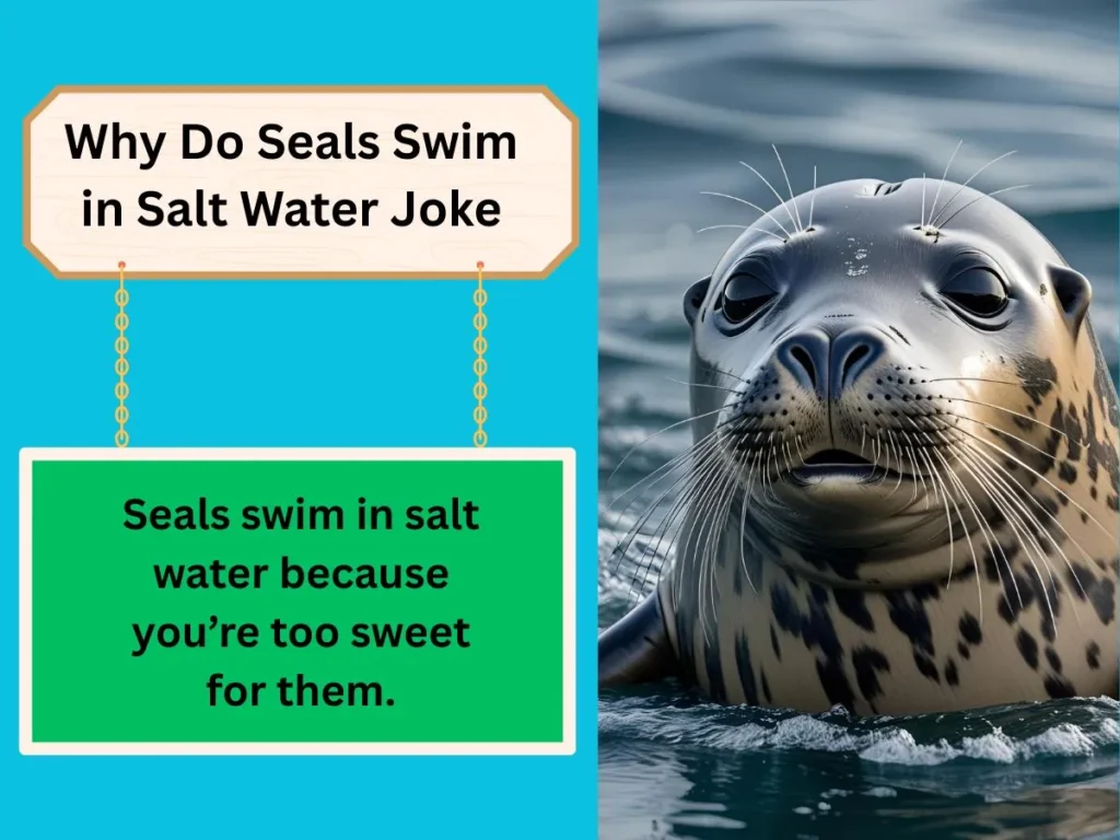 Why Do Seals Swim in Salt Water Joke