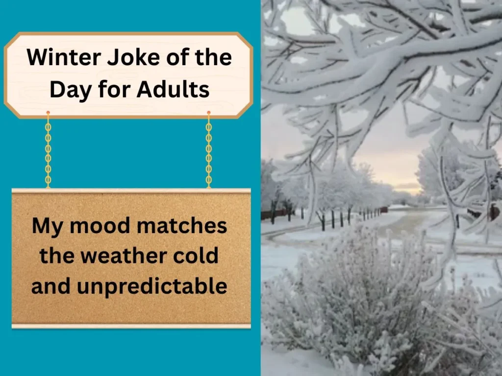 Winter Joke of the Day for Adults