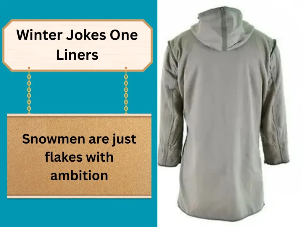 Winter Jokes One Liners