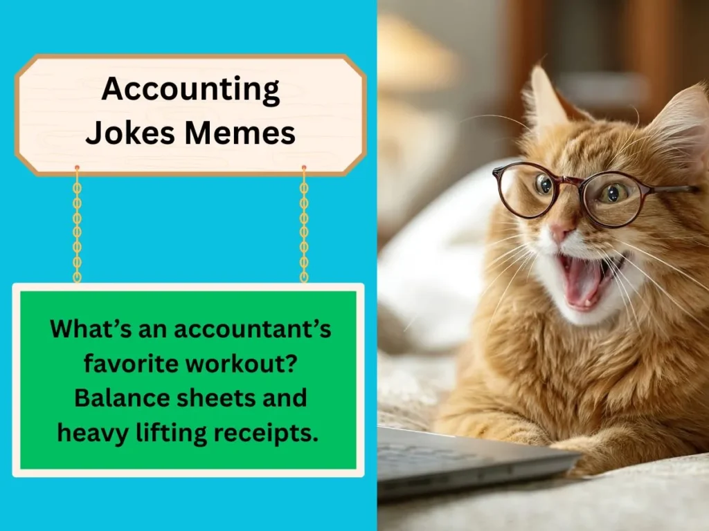 Accounting Jokes Memes