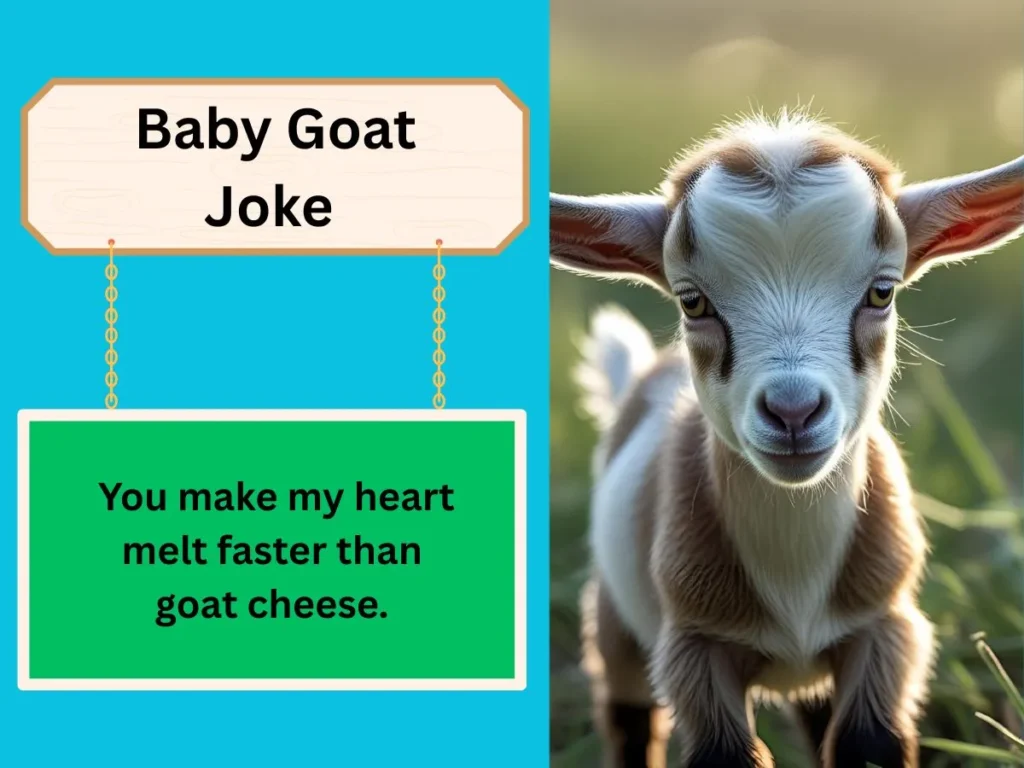 Baby Goat Joke 