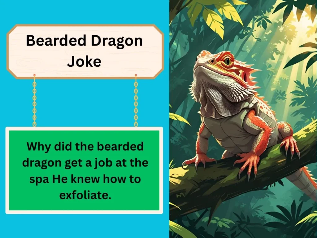 Bearded Dragon Joke