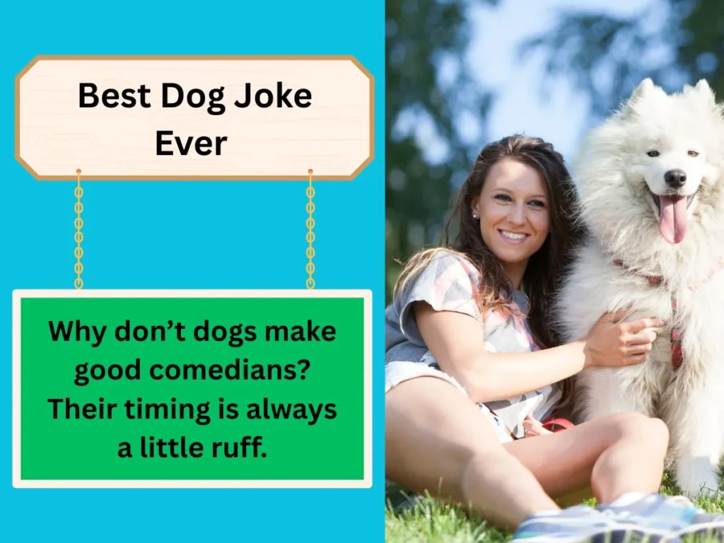 Best Dog Joke Ever