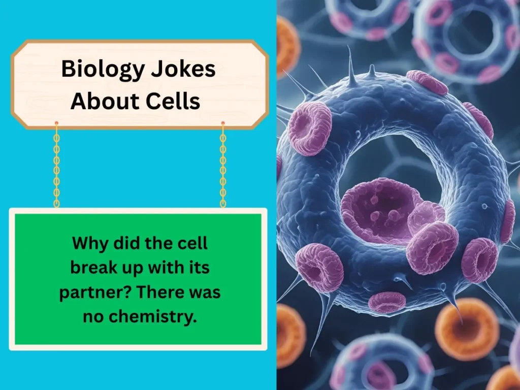 Biology Jokes About Cells 