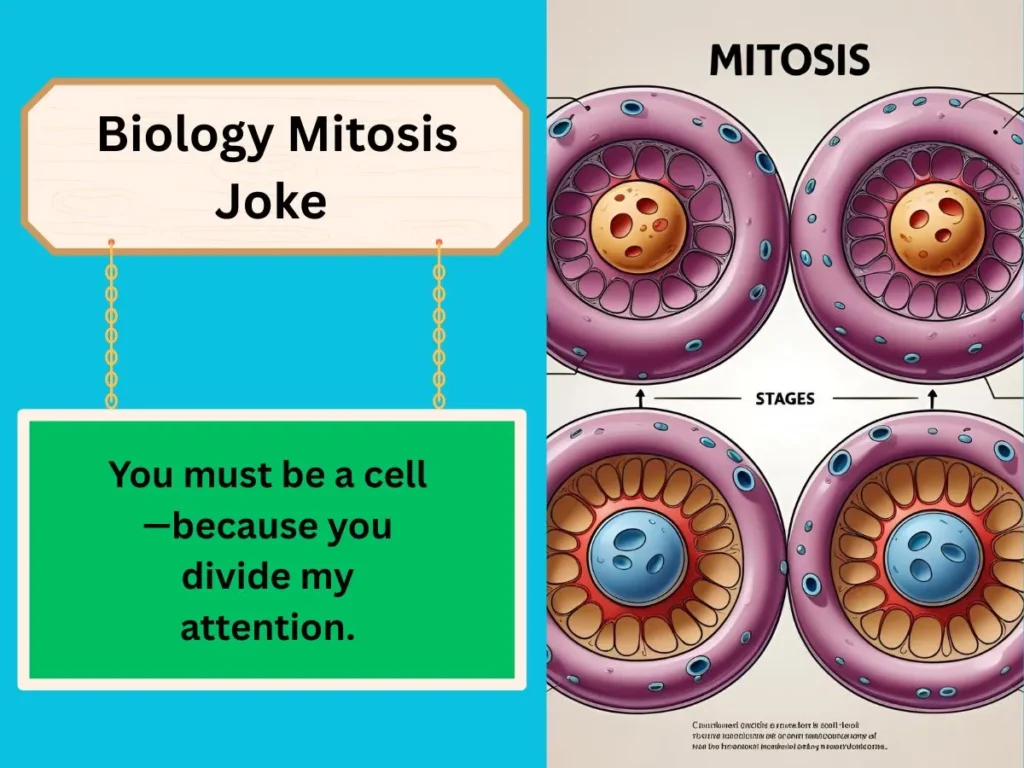 Biology Mitosis Joke