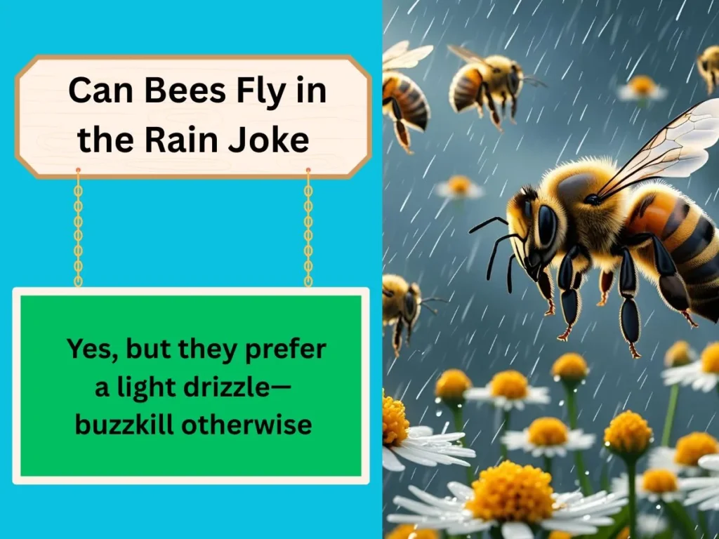 Can Bees Fly in the Rain Joke