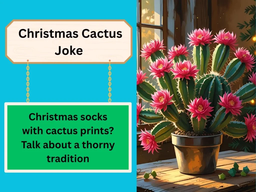 Christmas Cactus Joke