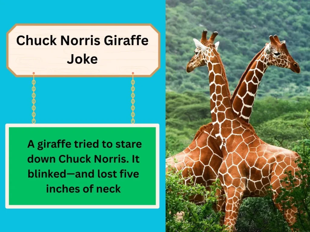 Chuck Norris Giraffe Joke
