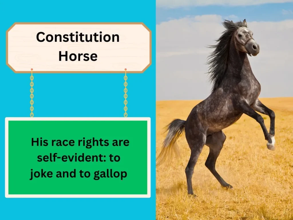 Constitution Horse
