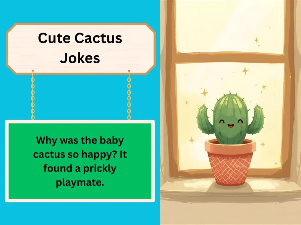 Cute Cactus Jokes