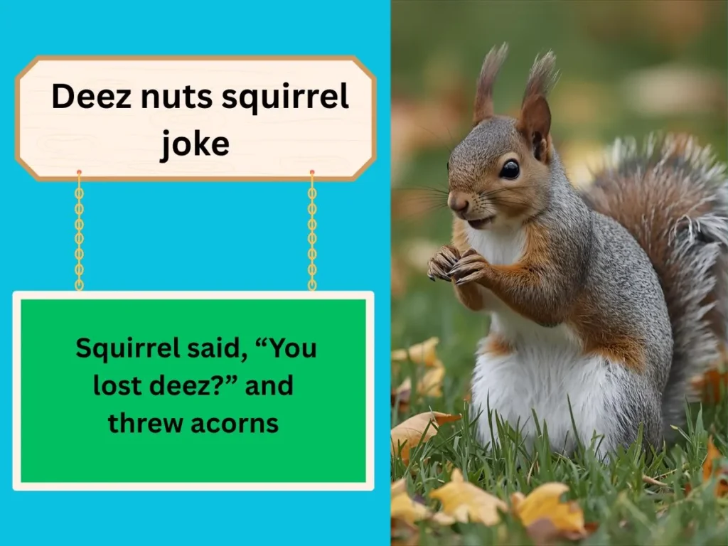  Deez nuts squirrel joke
