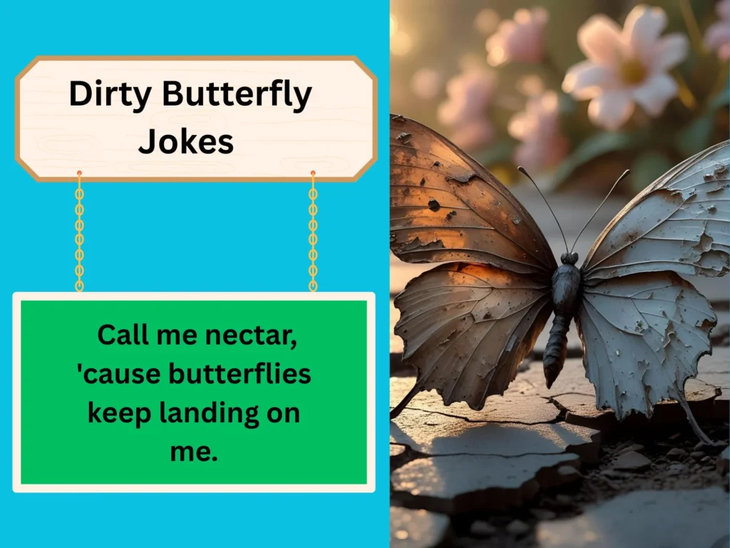  Dirty Butterfly Jokes