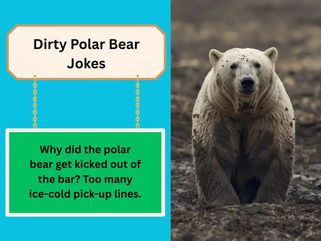Dirty Polar Bear Jokes