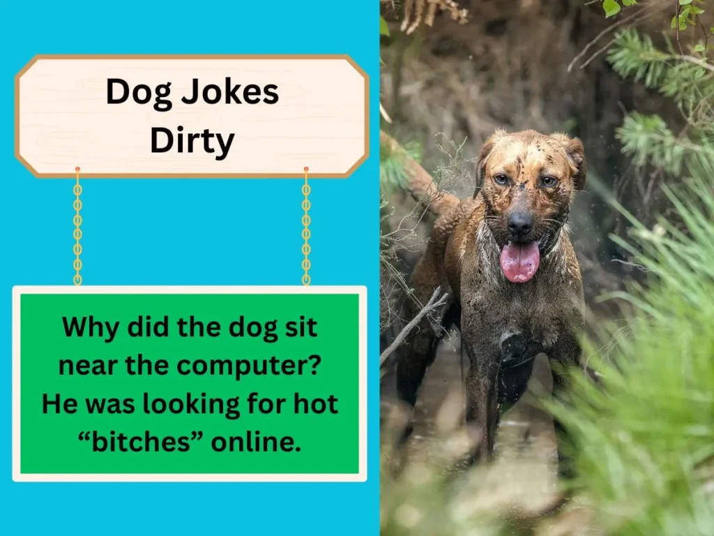 Dog Jokes Dirty