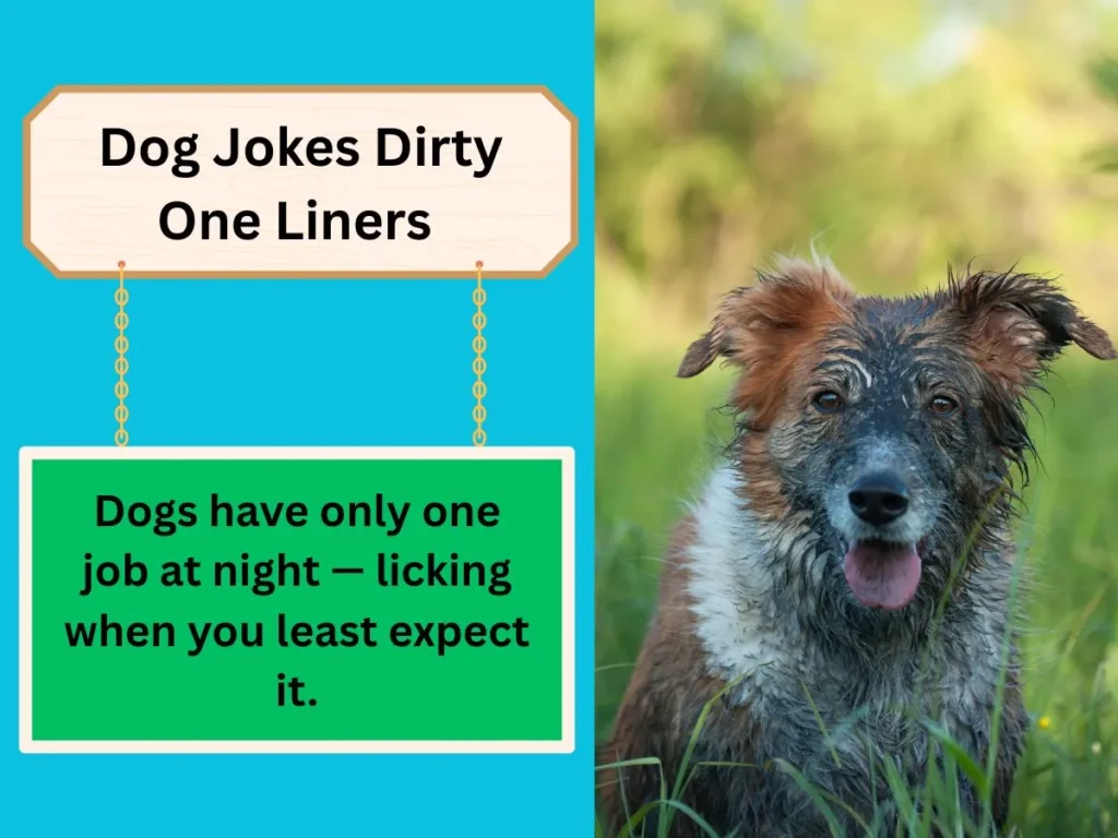 Dog Jokes Dirty One Liners